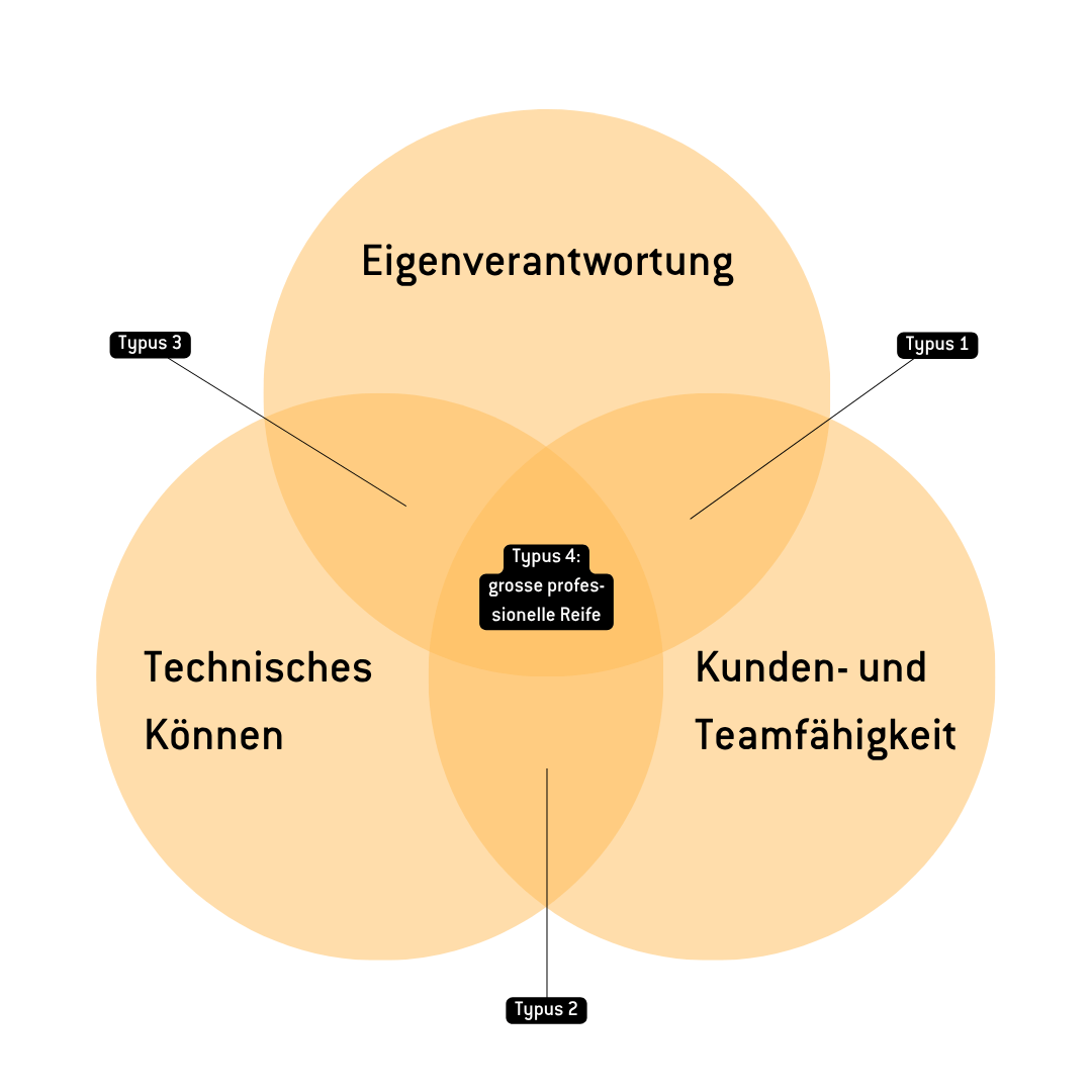 FFN System Engineer Fähigkeiten